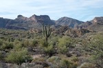 photo thumbnail #10