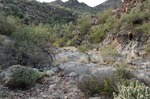 photo thumbnail #15