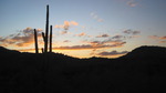 photo thumbnail #15