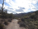 photo thumbnail #2