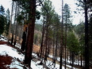 photo thumbnail #1