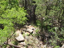 photo thumbnail #2