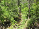 photo thumbnail #6