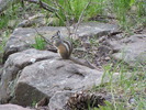 photo thumbnail #8
