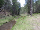 photo thumbnail #2