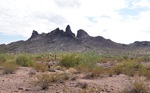 photo thumbnail #13