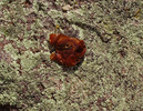 photo thumbnail #5