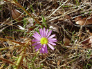 photo thumbnail #13