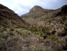 photo thumbnail #1