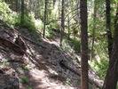 photo thumbnail #1