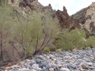photo thumbnail #13