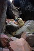 photo thumbnail #13