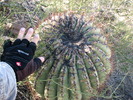 photo thumbnail #14