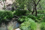 photo thumbnail #10