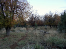 photo thumbnail #14
