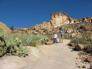 photo thumbnail #5