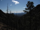 photo thumbnail #8