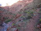 photo thumbnail #12