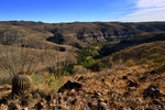 photo thumbnail #7