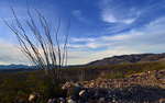 photo thumbnail #9