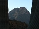 photo thumbnail #14