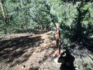 photo thumbnail #3