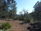 photo thumbnail #4