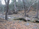 photo thumbnail #12