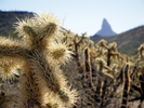 photo thumbnail #7