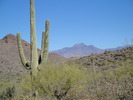 photo thumbnail #13
