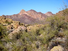 photo thumbnail #2