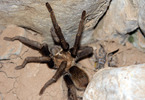 photo thumbnail #2