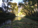 photo thumbnail #14