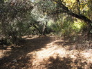 photo thumbnail #9
