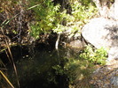 photo thumbnail #11