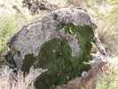 photo thumbnail #13