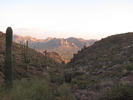 photo thumbnail #14