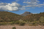 photo thumbnail #7