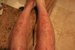 photo thumbnail #8