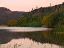 photo thumbnail #6