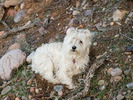 photo thumbnail #5