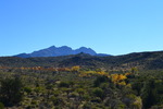 photo thumbnail #4