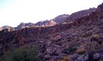 photo thumbnail #5