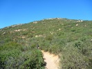 photo thumbnail #11