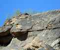 photo thumbnail #12