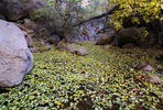 photo thumbnail #11