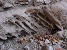 photo thumbnail #12