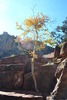 photo thumbnail #6