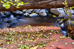 photo thumbnail #10