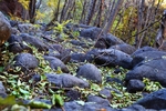 photo thumbnail #12